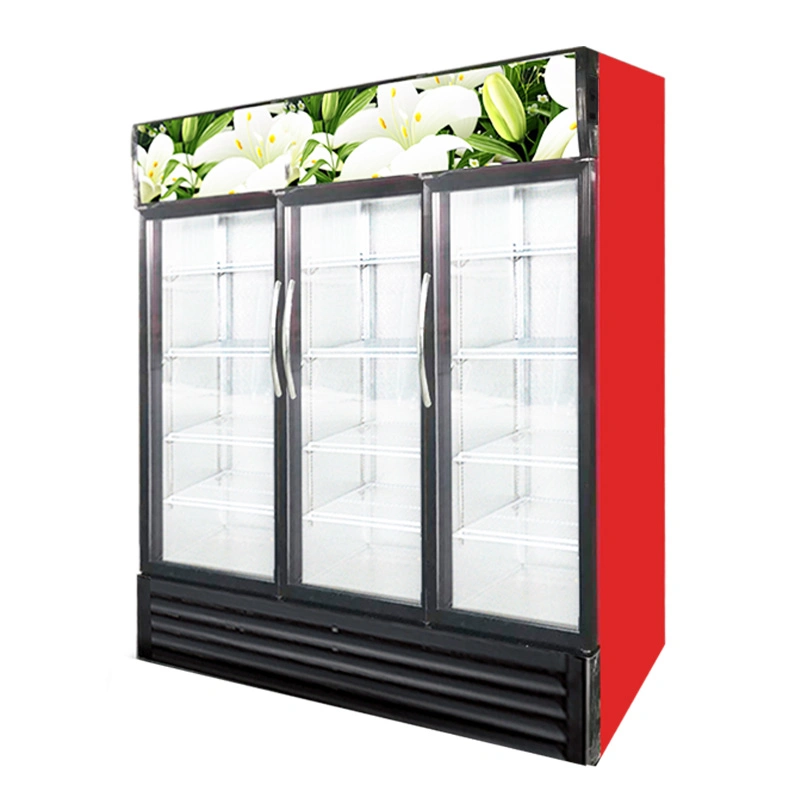 Frigoríficos de Display frigoríficos porta de vidro JinBest C refrigerador de Display