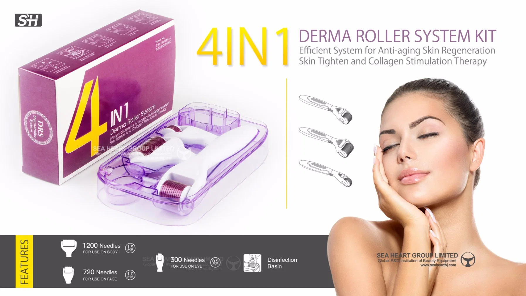 Derma Roller Microneedle Titanium Skin Care Tools Micro Derma Roller 4 in 1 with Box for Sale