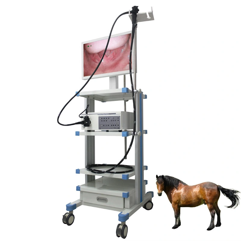 Tragbare Medizinische Ent-Diagnose Flexible Endoskopie Video Veterinary Gastroscope Endoscope Maschine für Pferdekuh