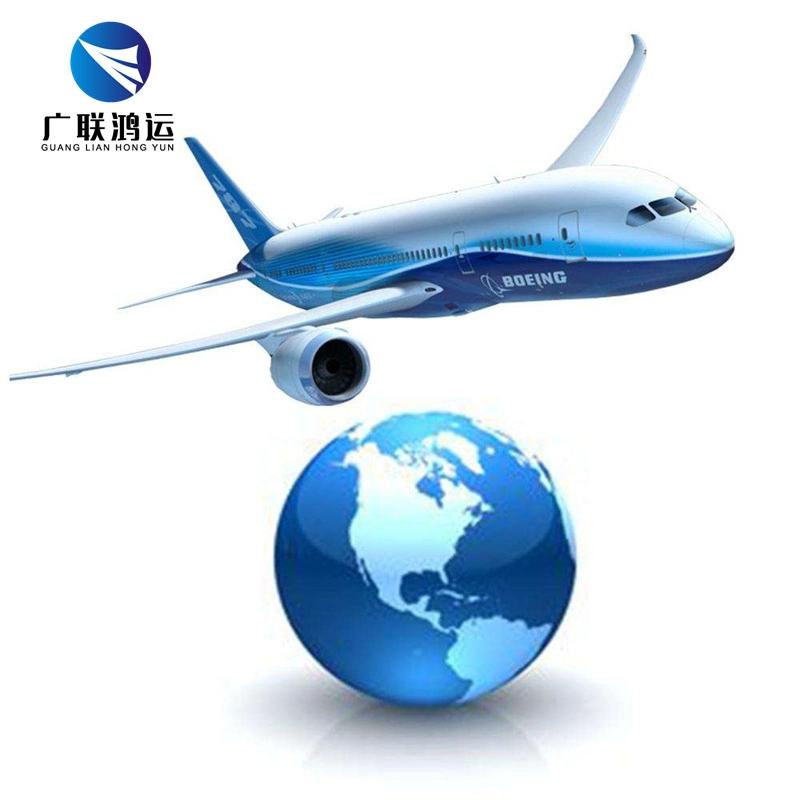 Professional Shipping Forwarder Air Freight Service From China to India New Delhi Airport