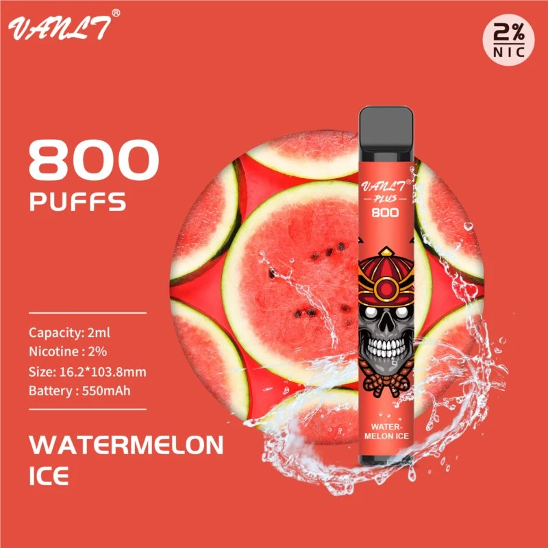 Factory Price Watermelon Ice Disposable/Chargeable Vape Pen