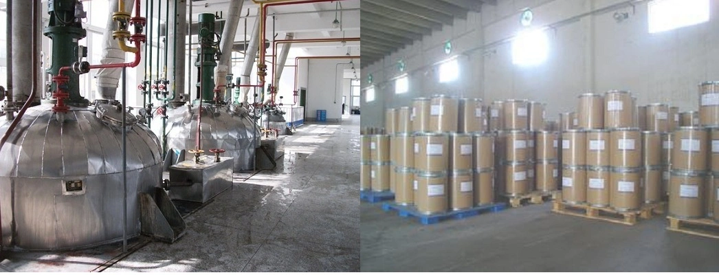 Hot Selling Pharmaceutical Raw Material Dl-Tetramisole Hydrochloride