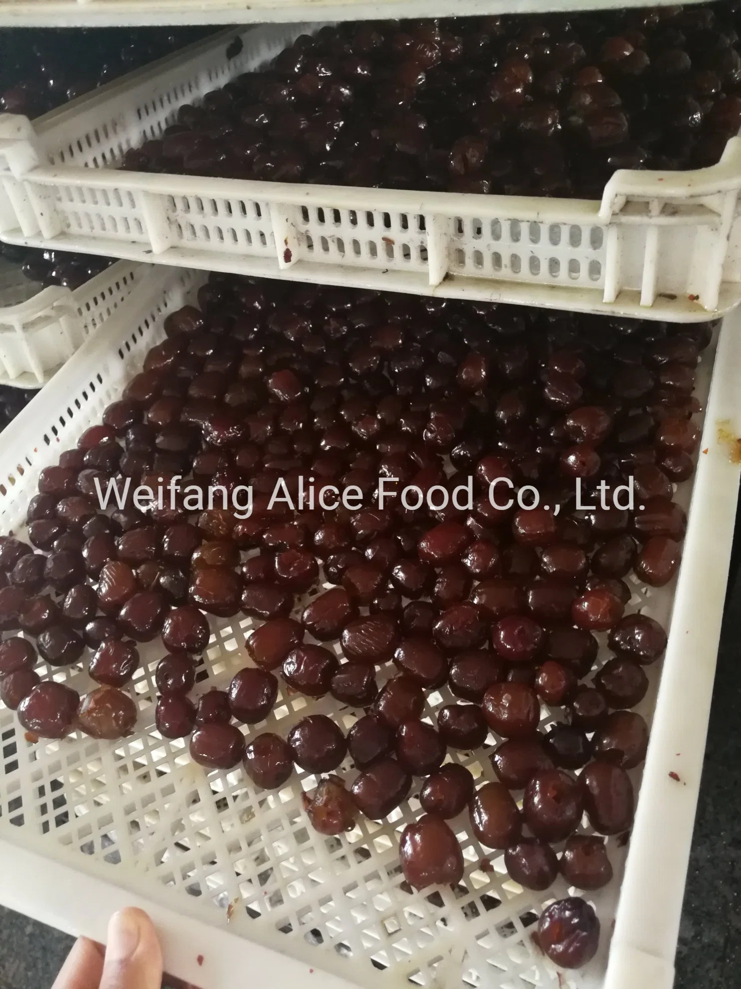 Good Price Dried Fruit Chinese Dried Date Honey Date