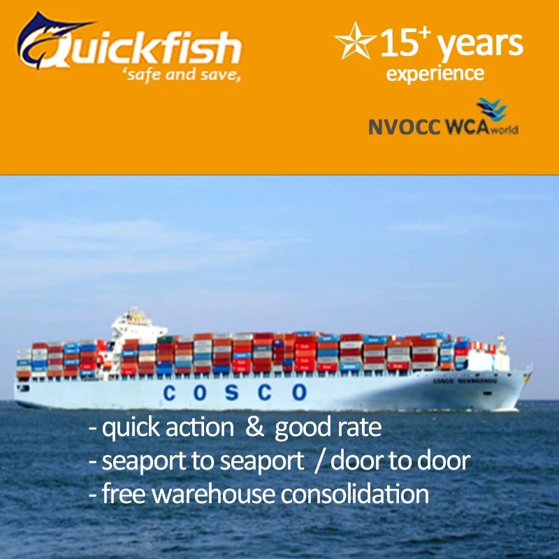 Cheap Sea Freight LCL FCL Warehouse Service China to Dallas