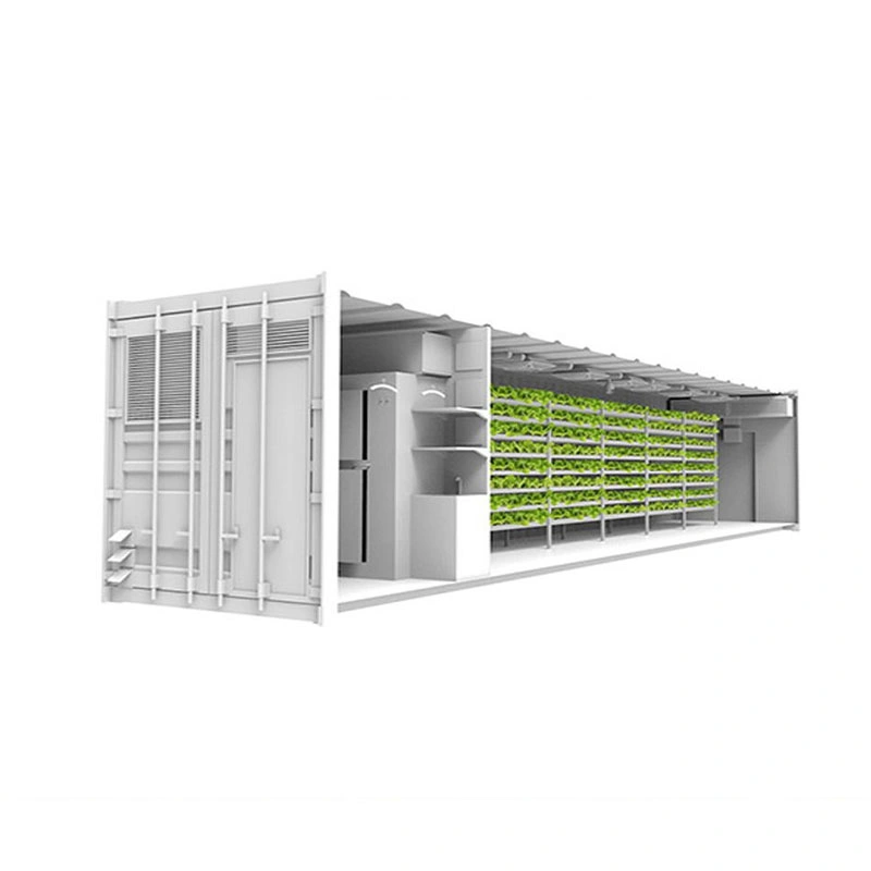 Vertical Agricultural Automated System Container Farming with Growing Facilities