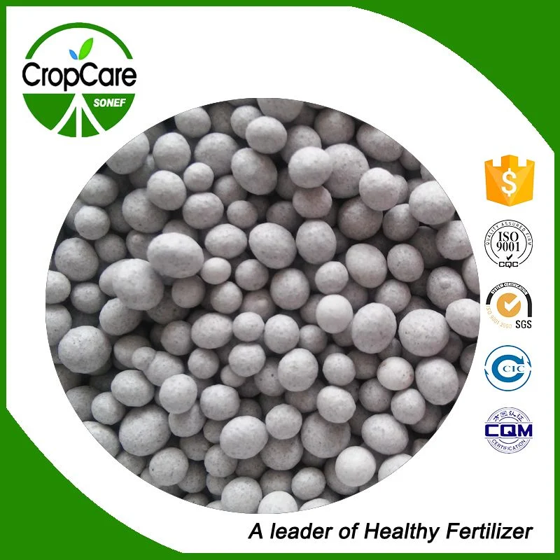Fabricante granular NPK 19-19-19 /químico /compuesto fertilizante para la agricultura