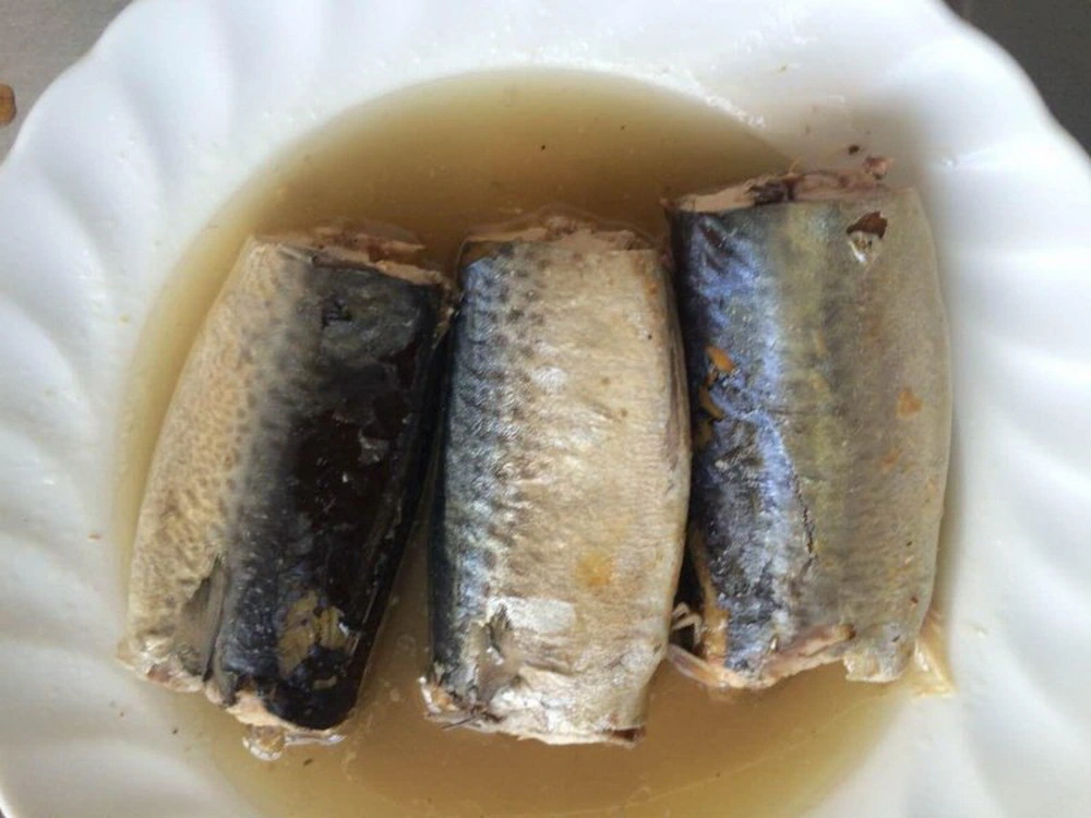 Canned Seafood Canned Mackerel Tin Fish in Vegetable Oil