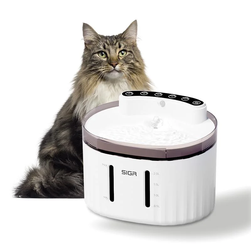 Hot sale automatique eau pour animaux fontaine chien Rappel de manque d'eau Distributeur de boissons Cat