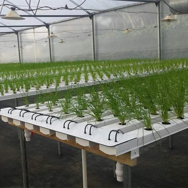Commercial Greenhouse Hydroponics Nft Gully Aquaponics System Nft Channel System Hydroponics Farm