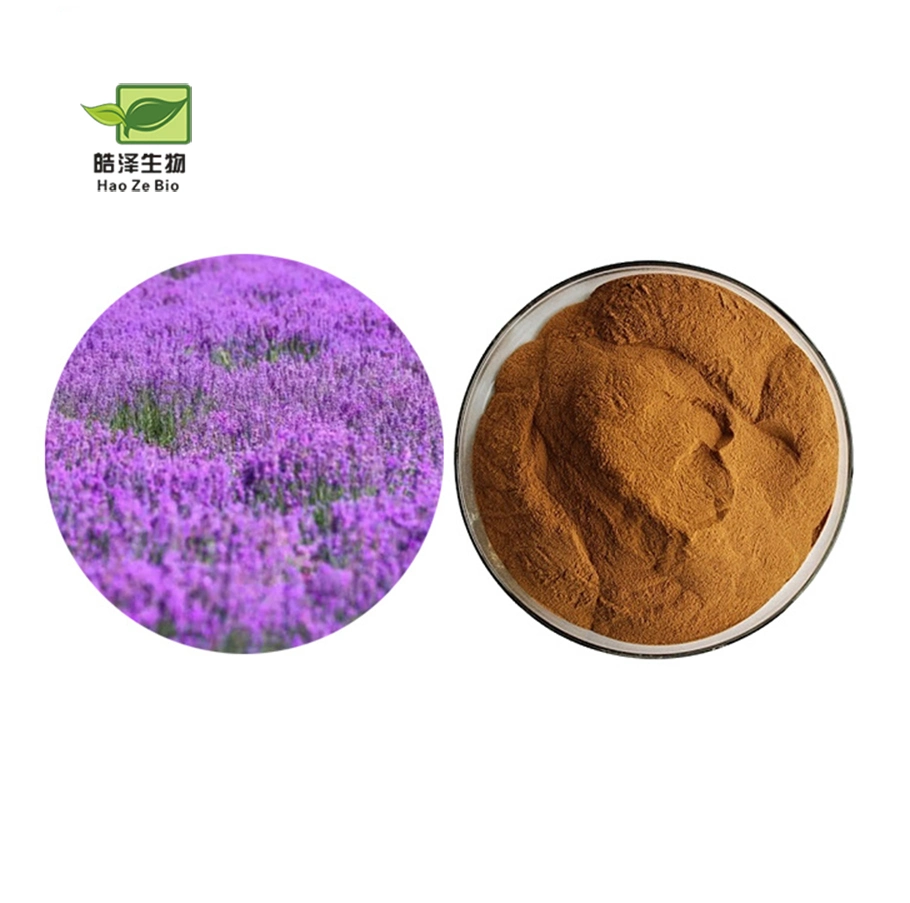 High quality/High cost performance Natural Lavandula Angustifolia Extract Powder Lavender Flavonoids Lavender Extract