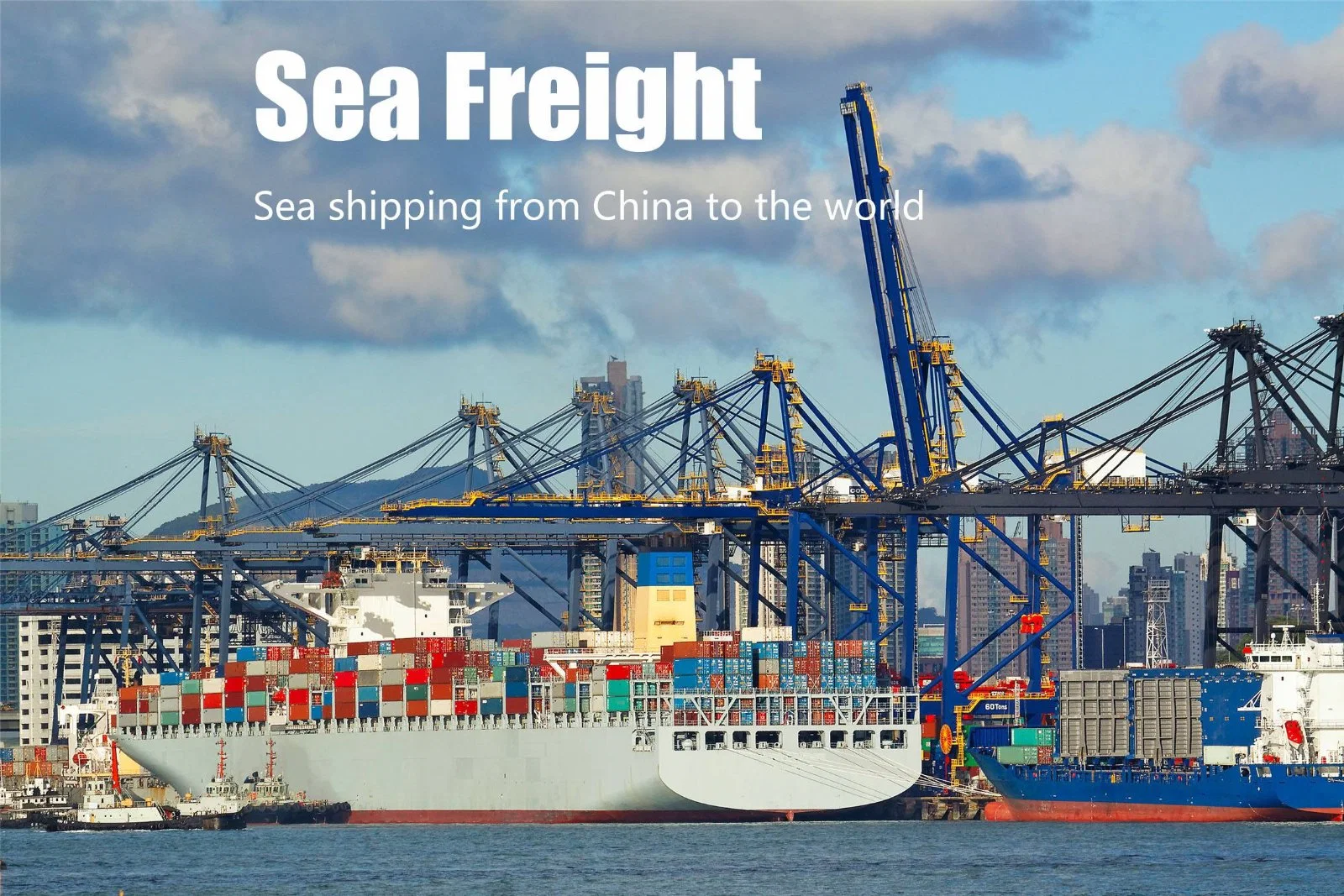 Professional China Guangzhou Shipping Agent / Freight Agent / Cargo Agent Transport Waren Aus China an die ganze Welt