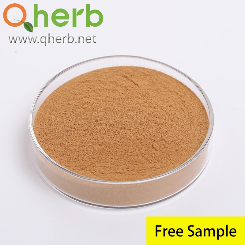 Astragalus Membranaceus Extract 0.5% HPLC 4&rsquor; -Hydroxy-3&rsquor; -Methoxyisoflavone-7-Sug