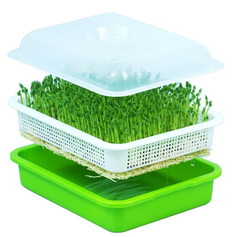 Deep Heat Preservation Sprouting Plate Seed Sprouter Tray for Hydroponics