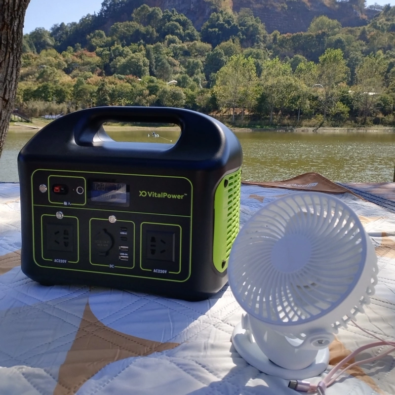 220V Batería Recargable para acampar al aire libre Bank LiFePO4 generador de energía solar portátil alimentación de 1000W