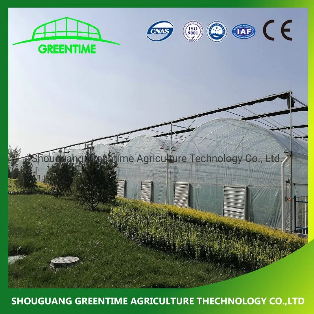 Hot Sale Multi-Span Film Agricultural Greenhouse for Planting Pepper