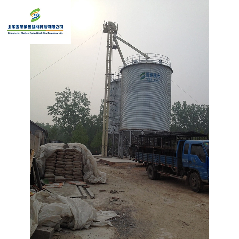Montaje de acero galvanizado Silo de grano de trigo de los silos de soja para la venta
