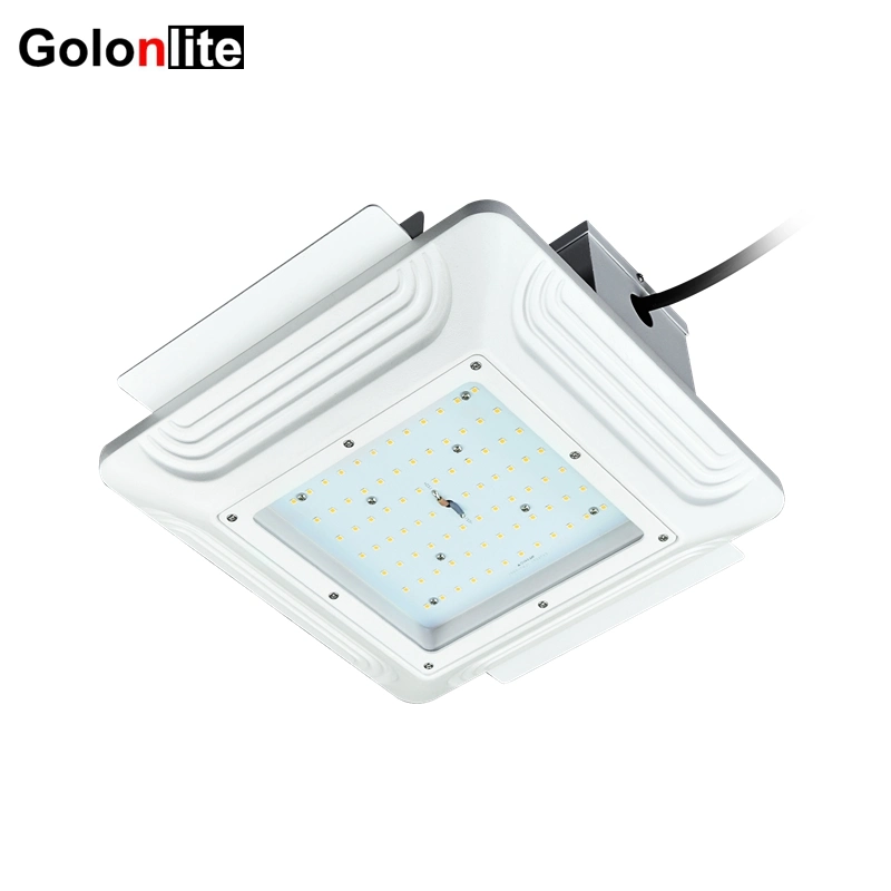 Montaje empotrado en techo a bajo precio de fábrica 40W 60W 80W 100W 120W 150W 200W 240W Garaje de estacionamiento a prueba de explosión Gas de gasolina Luz LED de la estación de dosel