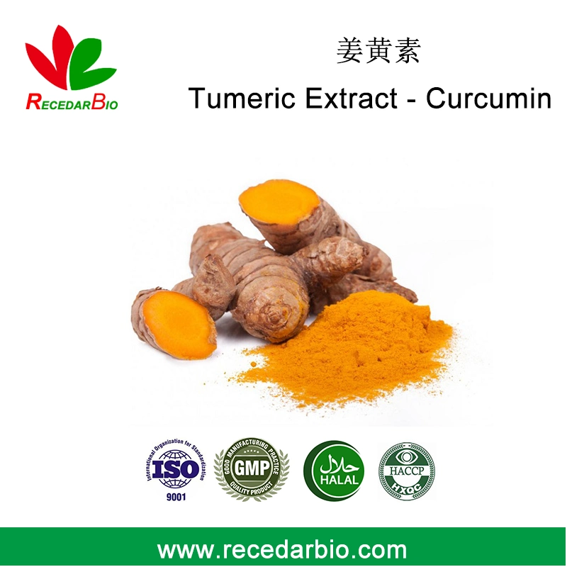 Natural Tumeric Root Extract Bulk 95% HPLC Curcumin Powder