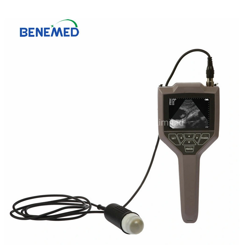 V-3 Full Digital Veterinary Ultrasound Scanners for Animal