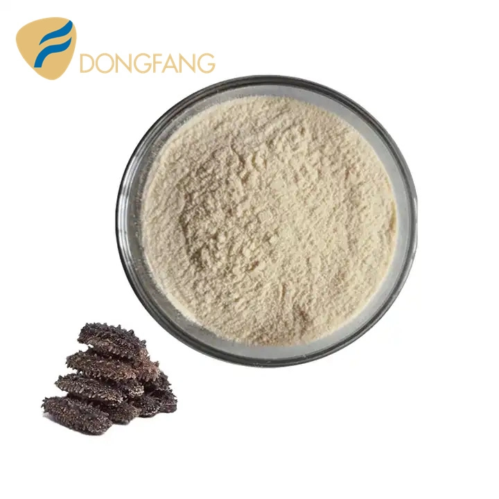 Best Price of Dried Sea Cucumber Protein Powder/ Sea Cucumber Peptide