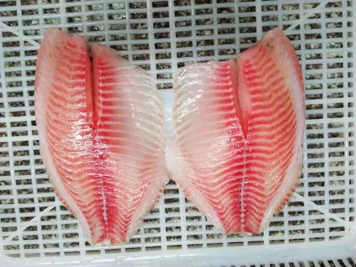 Frozen Tilapia Whole Round/Frozen Tilapia Fillet/Frozen Seafo