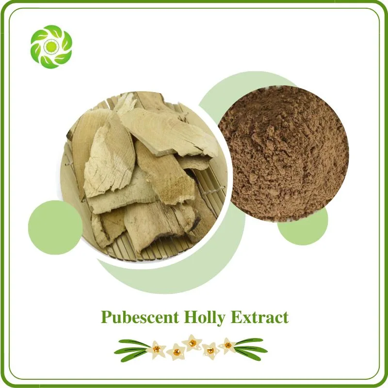 World Well-Being Biotech ISO&FDA Certified OEM Manufacturer Factory Supply Natural Herbal Extract 20% 30% 35% Flavonoids Pubescent Holly Extract