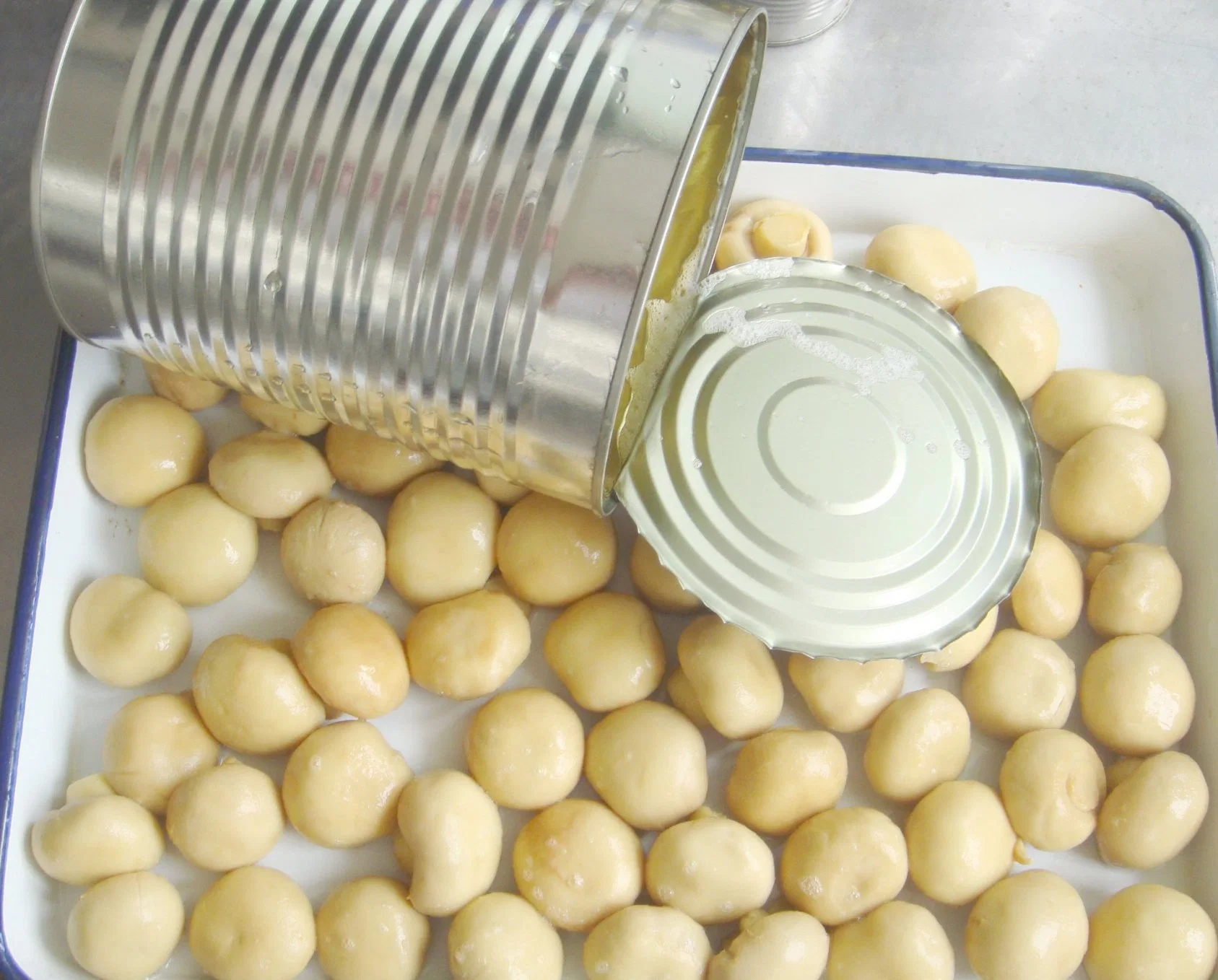 Canned Fresh Mushroom Whole with Private Label