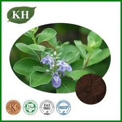 Vitex Agnus-Castus Chastemberry Extract Chastetree Берри Extract Agnuside 0.5%