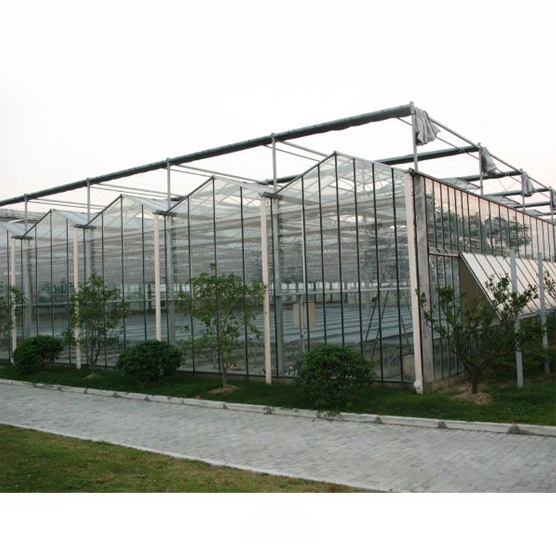 Warm Keeping Waterproof Customized Size Aluminum Agricultural Greenhouse