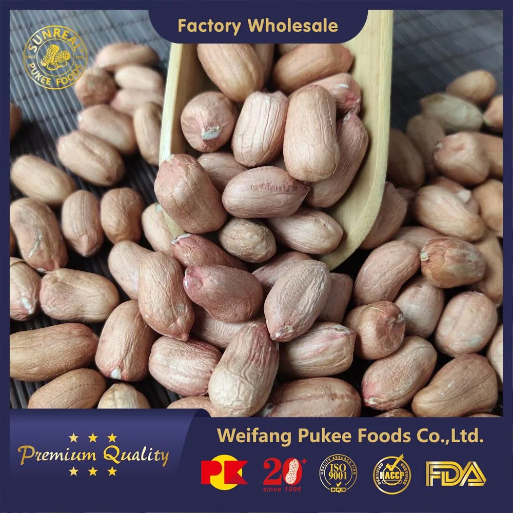 China Raw Peanut Kernels Virginia Type Long Type 28/32 Fine Packages