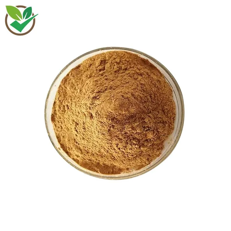 100% Natural Echinacea Extract Powder