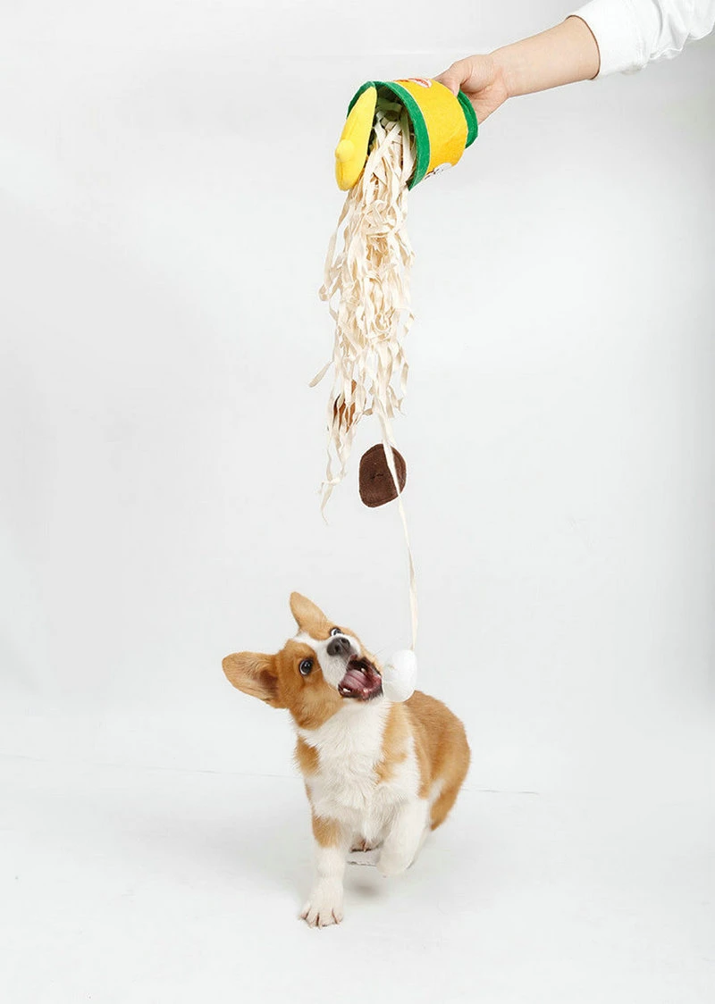 Pet Toys Anti Choking Dog Snort Toys Treat Ramen Toys Nose Work Exercise Dog Chew Toy Esg18653
