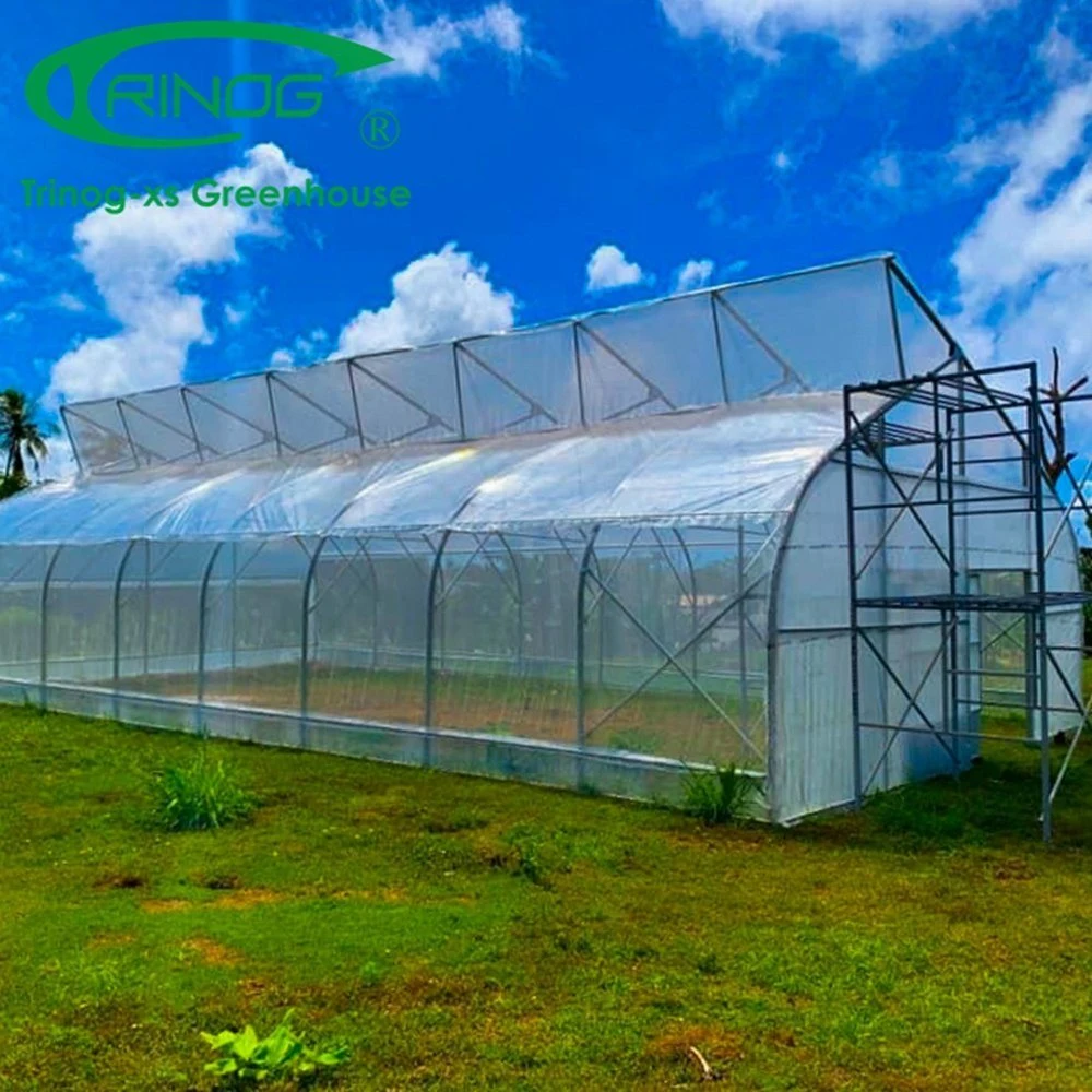 Water Saving Cultivation Hydroponics System Single Span Film Greenhouse for Plants/Vegetable/Flowers