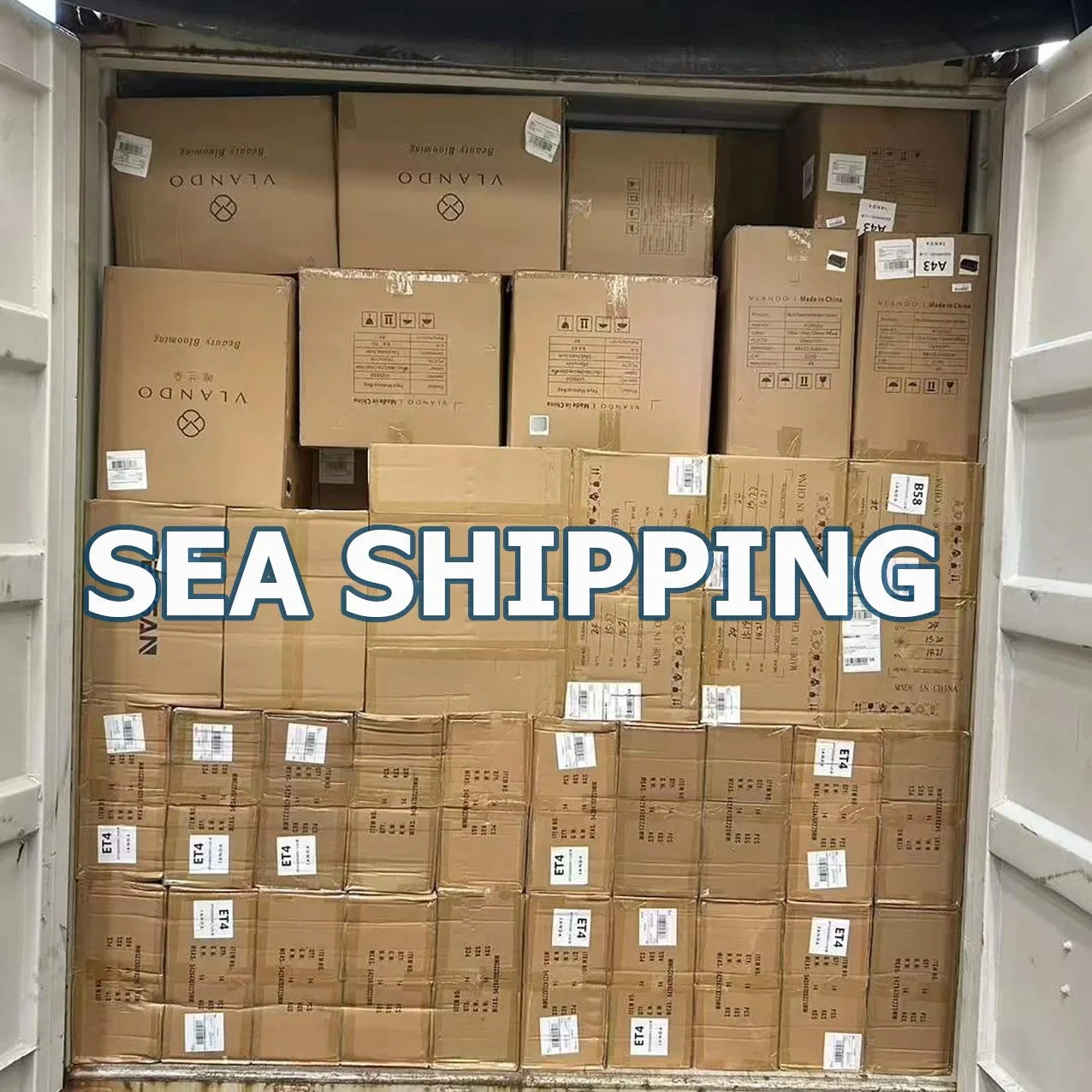 USA Fba Amazon Transportation or Professional Sea Freight Cargo Shipping to USA Shipping Agent