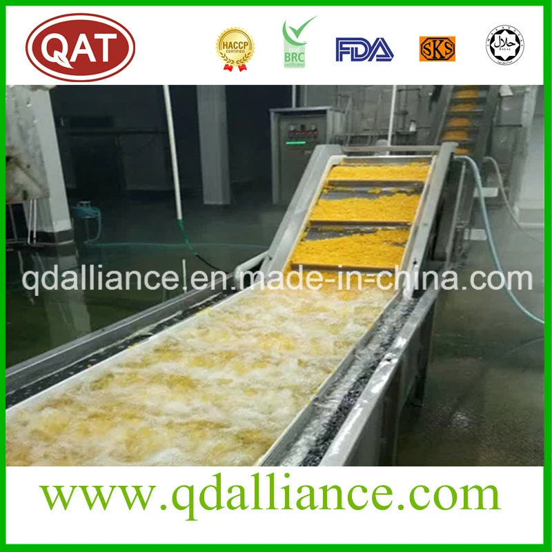 IQF Processing Line Organic Fruits Frozen Yellow Peach Slices for Exporting