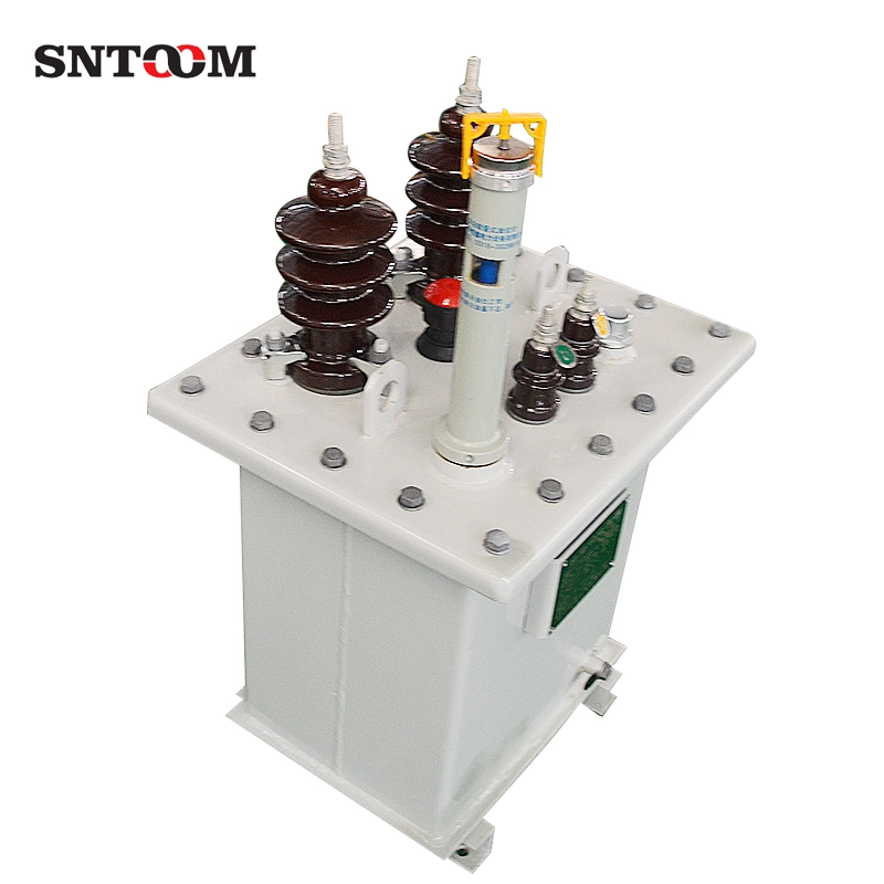 Custom D11 Single Phase Compact Oil Immersed Power Distribution Transformer 5/10/15/20/25/30/50/63/80/100/125/160/200 kVA Price