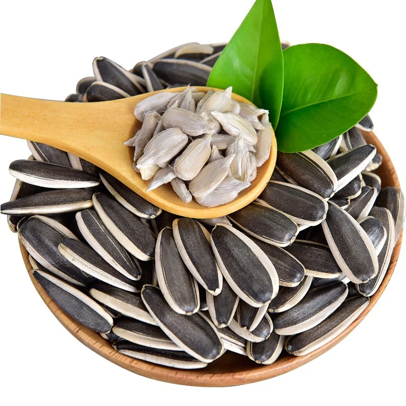 Wholesale/Supplier Factory Black and White Raw Sunflower Seeds