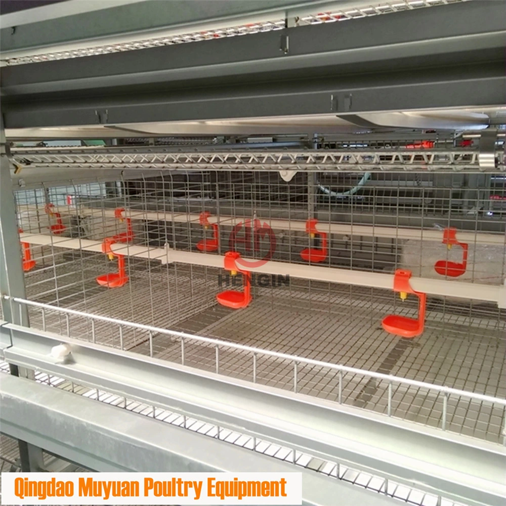 H-Type Baby Layer Chicken Pullet Cage for Philippines Poultry Farm