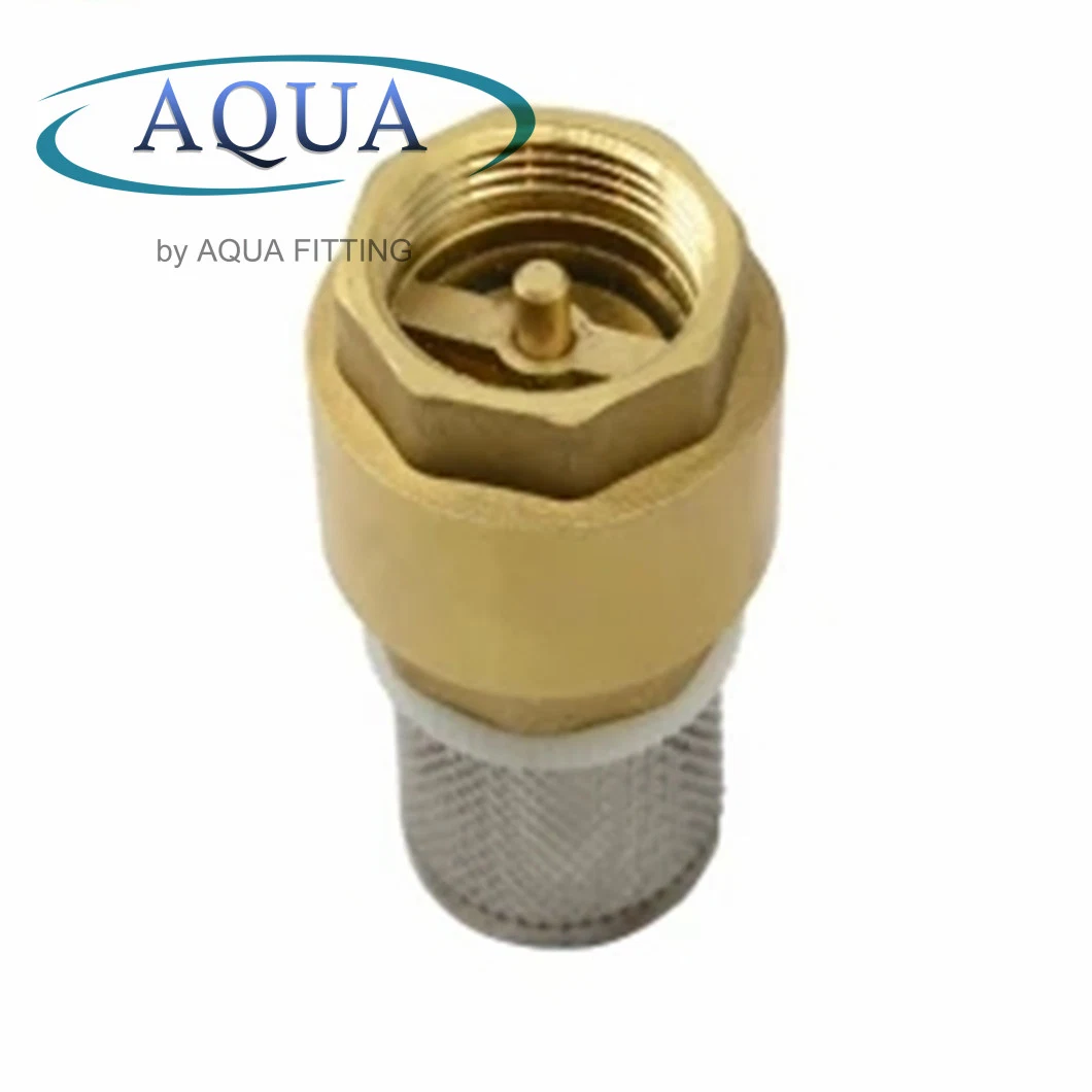 Factory Price 3/4 Brass with Mesh Check Valve Stainless Steel Web Filter Mesh