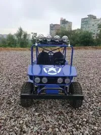 Nuevo Mini Mini Buggy niños CTV ATV 150cc para la venta