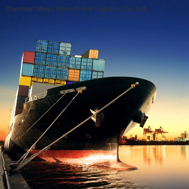 Faster Sea Freight Shipping Forwarder From China to Philippines DDP to Door Service