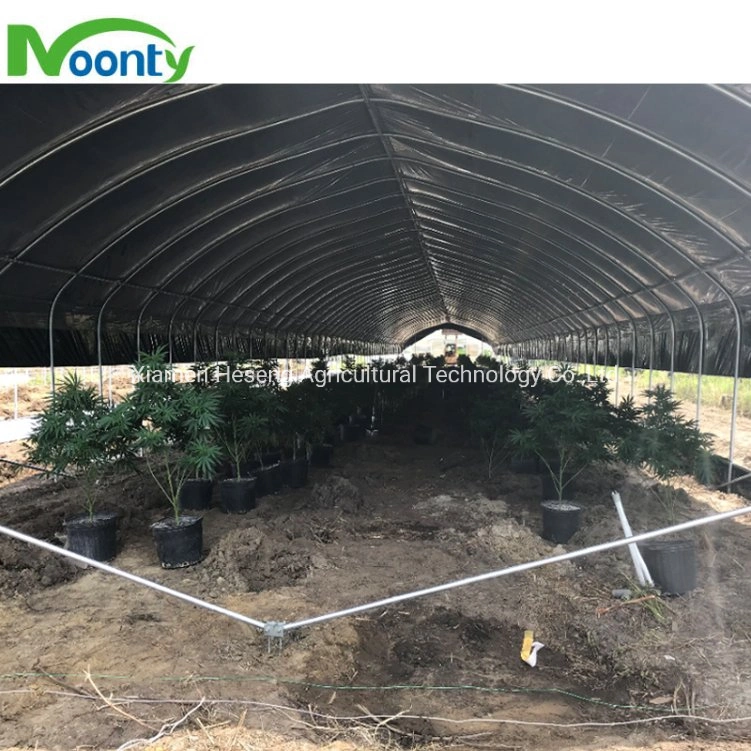 Kommerzielle Single Span Easy Tunnel Blackout Greenhouse 100% Shading Light Deprivation System Gewächshaus mit LED wachsen Licht