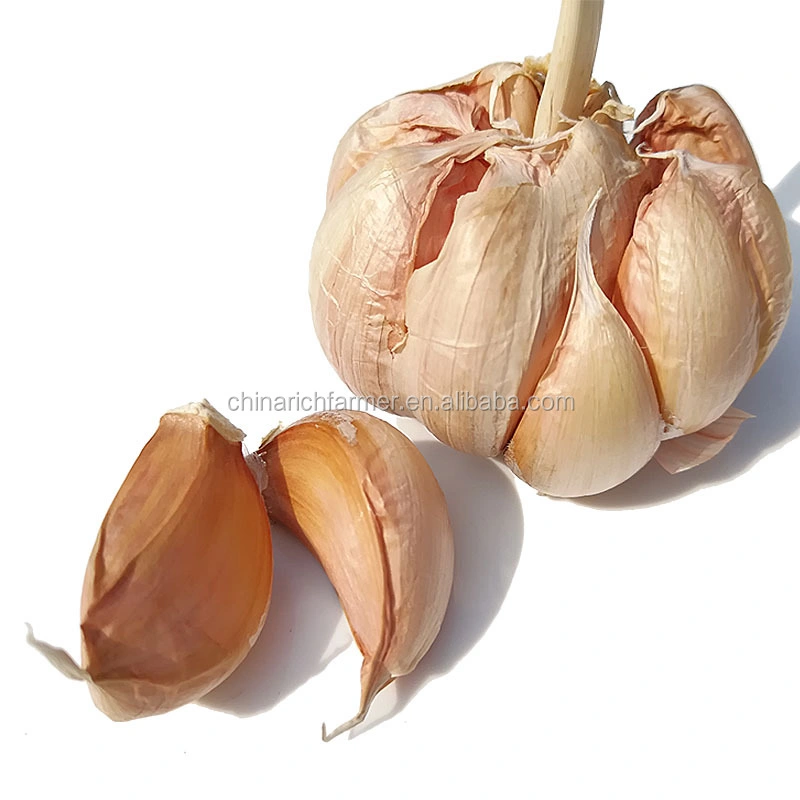 Cheapest China Fresh 3p Pure Normal White Dried Garlic