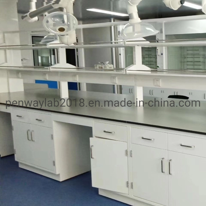 Steel Cabinet Science Lab Furniture Lab Table/ Phenolic Top (2500L*750Wmm) Black & Offwhite