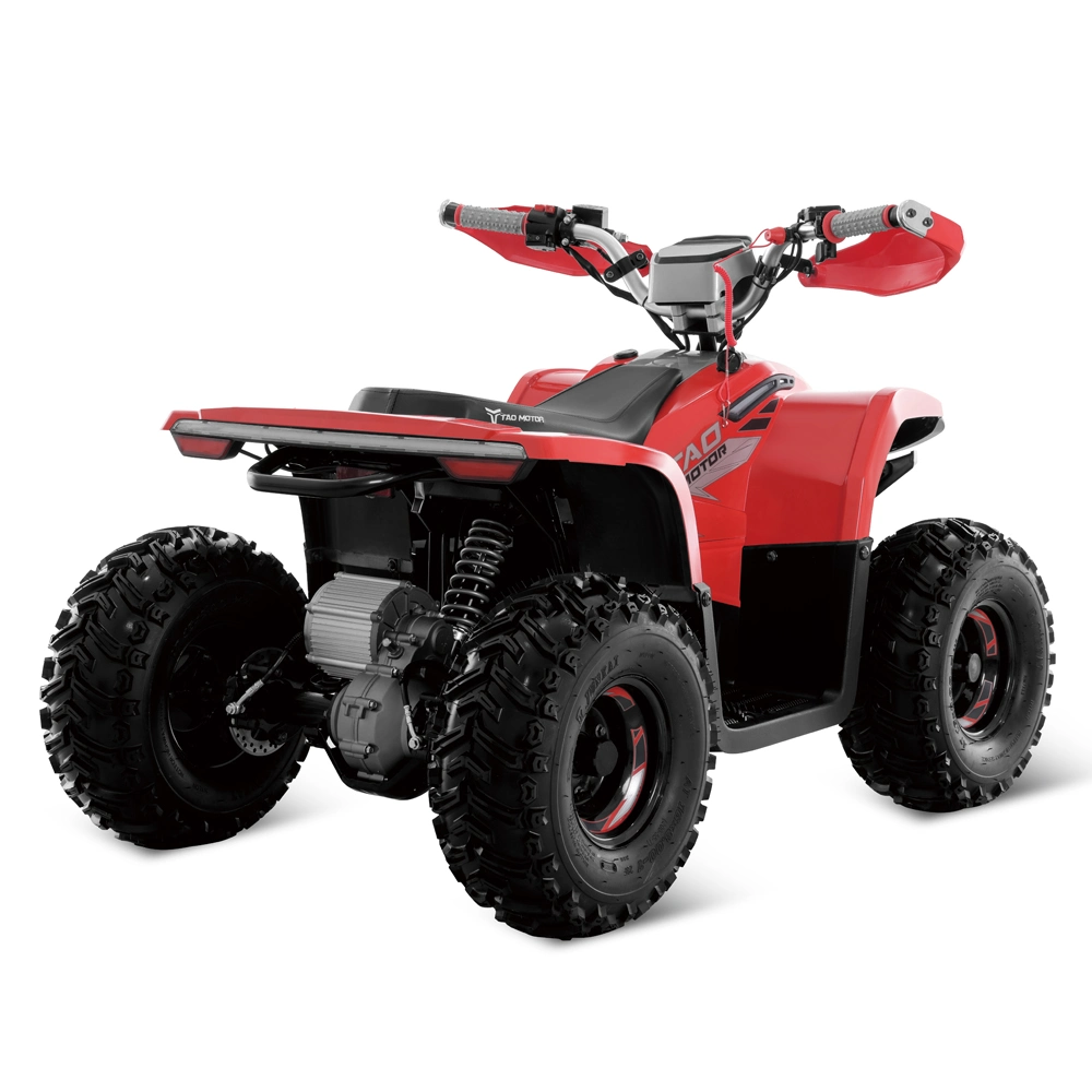 Vélo électrique VTT quatre Wheeler ATVs électrique Quad