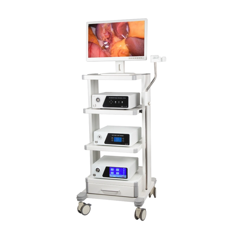 L'équipement médical de l'endoscopie Système avec source lumineuse à DEL
