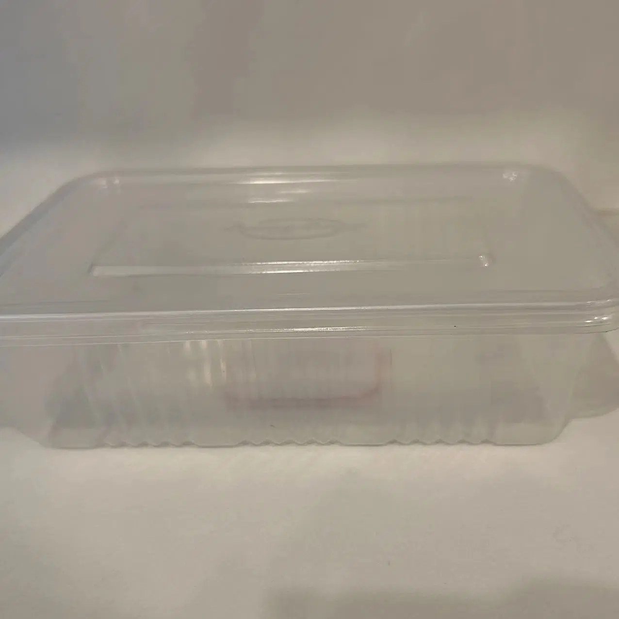 PP Lunch Box / Food Grade Container/ Disposable Plastic Food Box