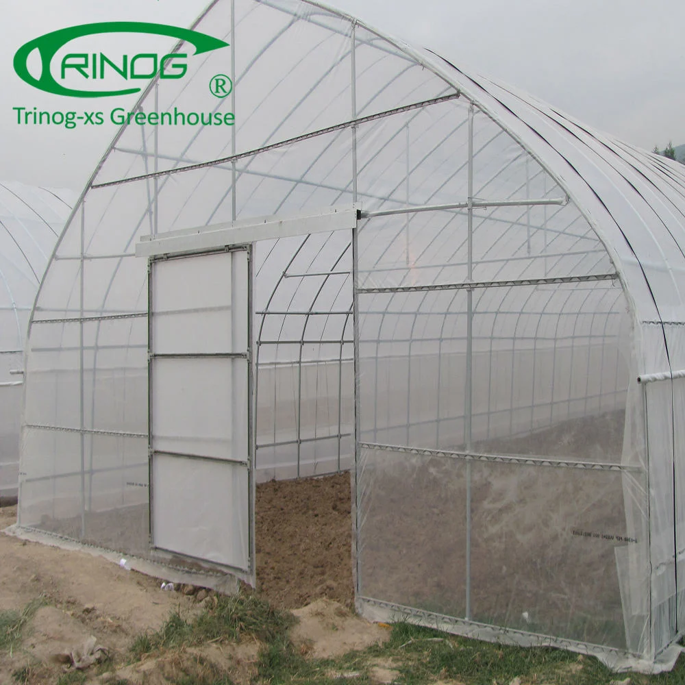 Large Size Single Span Film Greenhouse for Agriculture