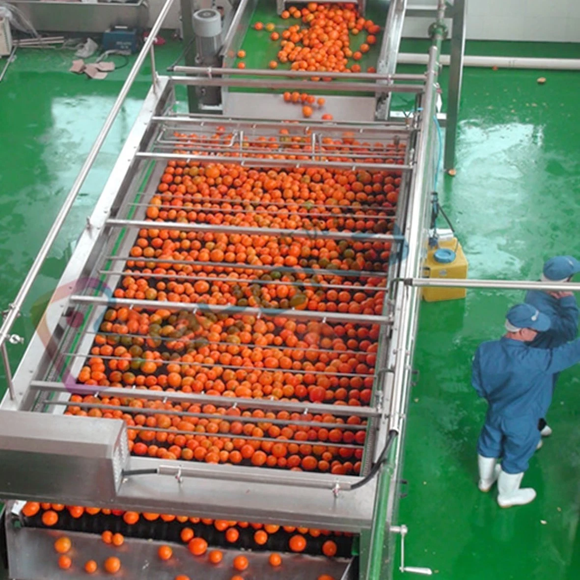 Fruit juice production equipment fruit grading machine