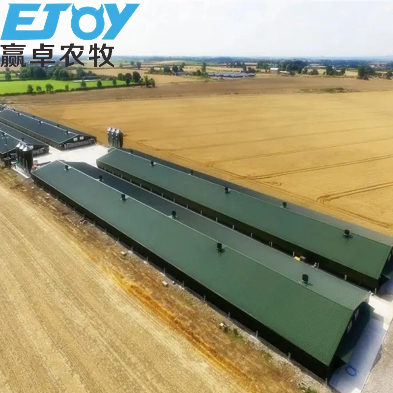 Battery Agricultural Machinery Equipment Poultry Equipment Automatic Livestock Feeders Chicken Layer Cage